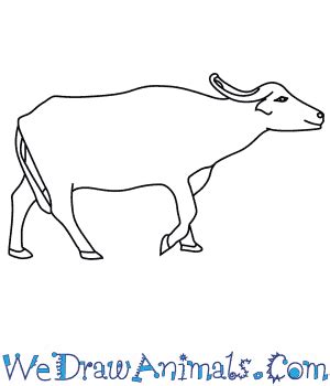 nakakalbong kagubatan drawing|How to draw a carabao (kalabaw in Tagalog) [4K].